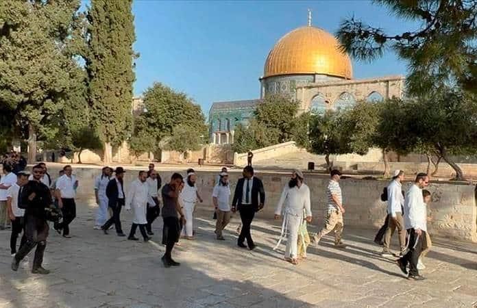 ¡Provocación que enciende la chispa del conflicto! Colonos judíos desafían a Palestina en la Explanada de las Mezquitas