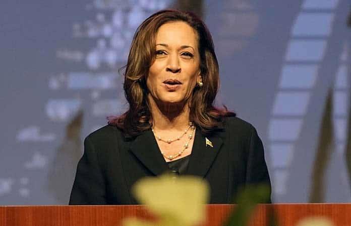 Kamala Harris Selecciona a su Compañero de Fórmula