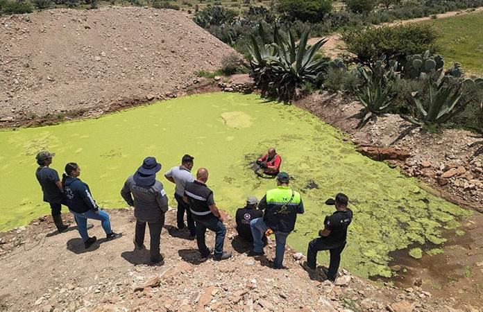 Niño Extraviado en Villa de Arriaga es Encontrado Sano y Salvo en Pinos, Zacatecas